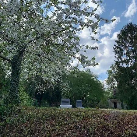 Maison D Architecte Avec