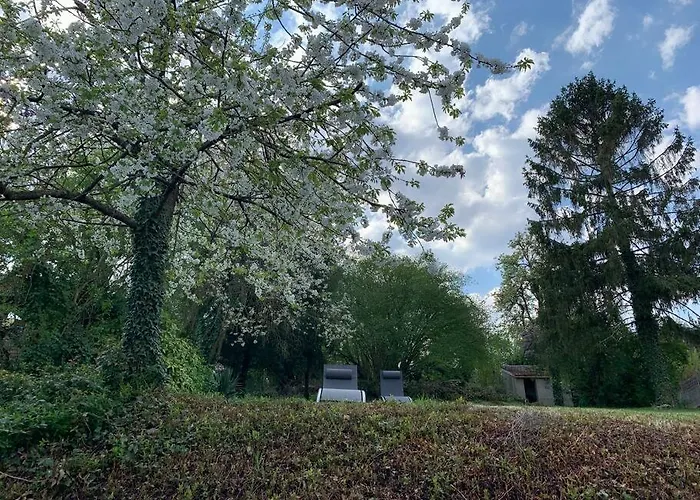 Maison D Architecte Avec